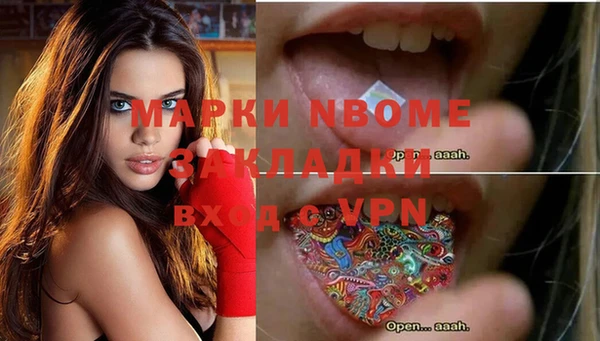 прущие грибы Саяногорск