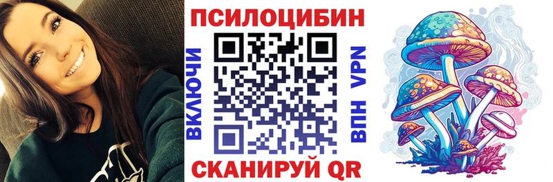 купить наркотик Агидель Псилоцибиновые грибы MAGIC MUSHROOMS